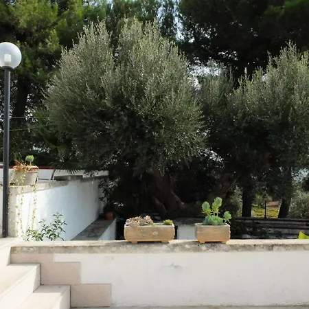 Trullo Chiari Di Bosco *